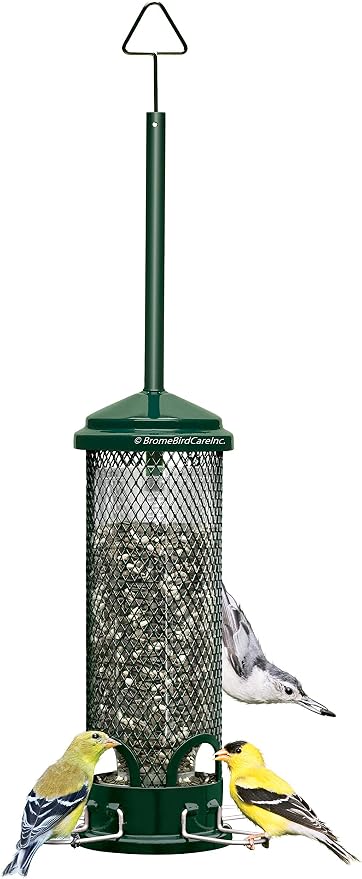 Squirrel Buster Mini Squirrel-Proof Bird Feeder w/4 Metal Perches, 0.98-Pound Seed Capacity & Wagner's 62034 Greatest Variety Blend Wild Bird Food, 6-Pound Bag