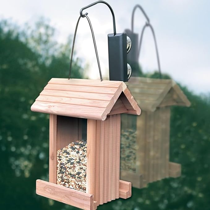 Pennington Classic Window Hook Used for Bird Feeder, Suction Cup Hook