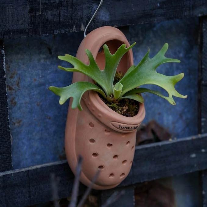 Terracotta Orchid Pot, Handmade Hanging Planter with Breathable Perforated Design, Rustic Clay Pot for Orchids, Succulents, Air Plants Mini Phalaenopsis, Unique Garden Decor