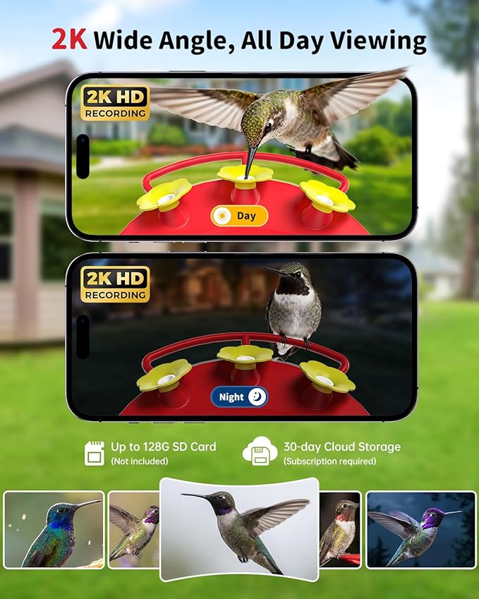 NAVFS Smart Hummingbird Feeder with Camera, 2K AI-Powered Outdoor Hummingbird Camera Feeder with Solar Panel, Auto Capture Videos & Motion Detection, Ideal Gift for Bird Watchers-Red