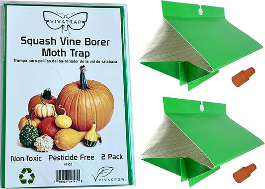 VivaTrap VT-100 Squash Vine Borer Moth Trap & Lure (2 Pack, 8 Week)