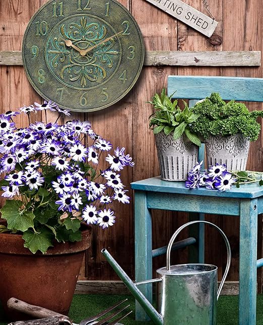 Blanc Fleur Aged Bronze - 15in Round Wall Thermometer, Aged Bronze Finish Case, Water Resistant