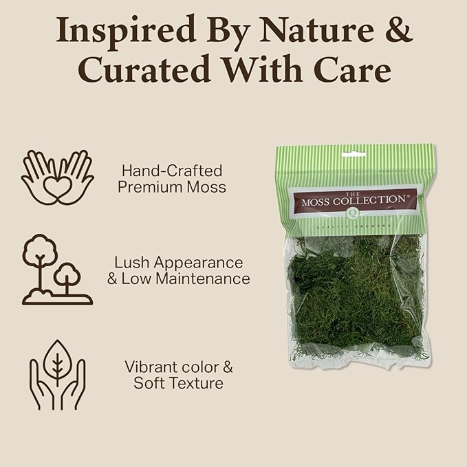 Preserved Sheet Moss - Natural Decorative Moss - Dried Moss for Crafts, Home Decor, Art, Design & DIY Projects - Non-Toxic - Green - Medium