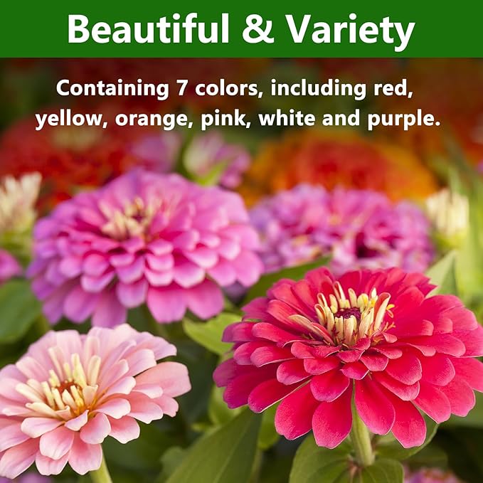 LUOJIBIE Zinnia Seeds for 2026, California Giant Zinnia Seeds Bulk, 10,000+ Double Dahlia Zinnia Mixed Color Seeds, Flower Seeds for Planting Outdoor Garden, Non-GMO Heirloom, Easy to Grow