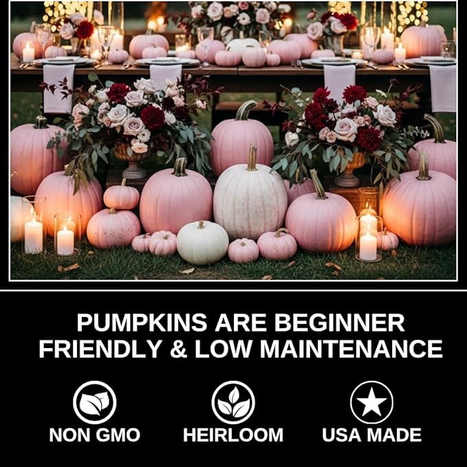 10 Warty White Specter Pumpkin Seeds for Planting – Pure White with Subtle Warts – Rare, Elegant Variety for Unique Fall Décor, Halloween Displays & Garden Harvests
