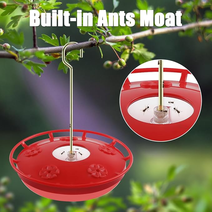 FEED GARDEN Plastic Hummingbird Feeder 16 Oz Red + Glass 20oz Red