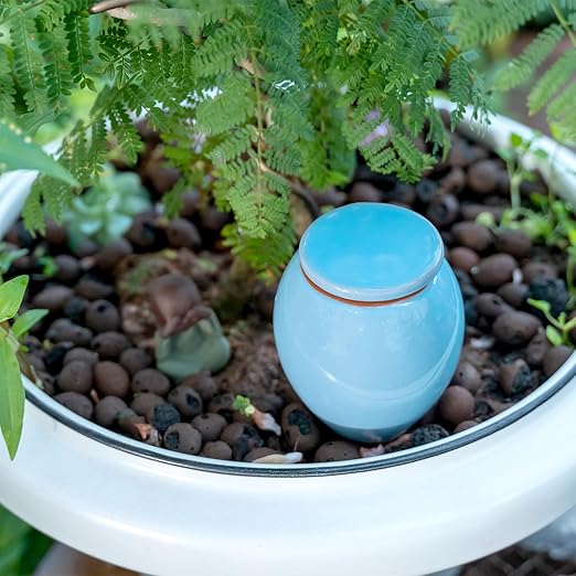 MOUGIGI 4-Pack Self Watering Planter Insert - 2 Blue and 2 Green Ceramic Watering Globes for Indoor Plants, Terracotta Bulbs, and Small Plant Pots - 300ml Capacity, 1 Weeks Autonomy