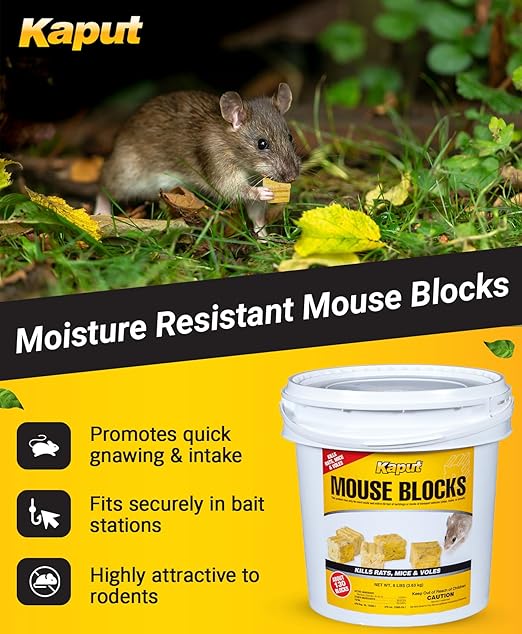 Kaput Mouse Blocks, Rodent Bait for Mice & Rats, Warfarin Vole Killer for Indoor/Perimeter Use, Kills Rodents with Consistent Feeding - Ideal for Homes, Farms & Transport Areas, 8 lbs