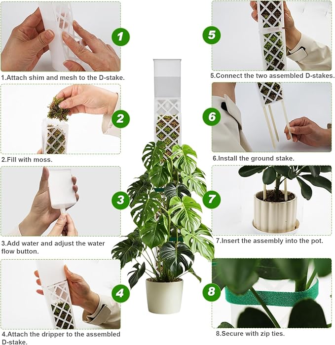 GJL Self Watering Moss Pole for Monstera, Stackable Clear D Shape Moss Pole with Watering Dripper, Indoor Climbing Plant Support for Pothos and Philodendron