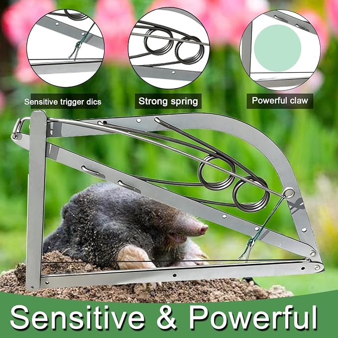 Reusable Outdoor Chipmunk Spring Trap - for Meadow, Woods, Orchard, Gardens & All Outdoor Spaces (2, M-6IN)