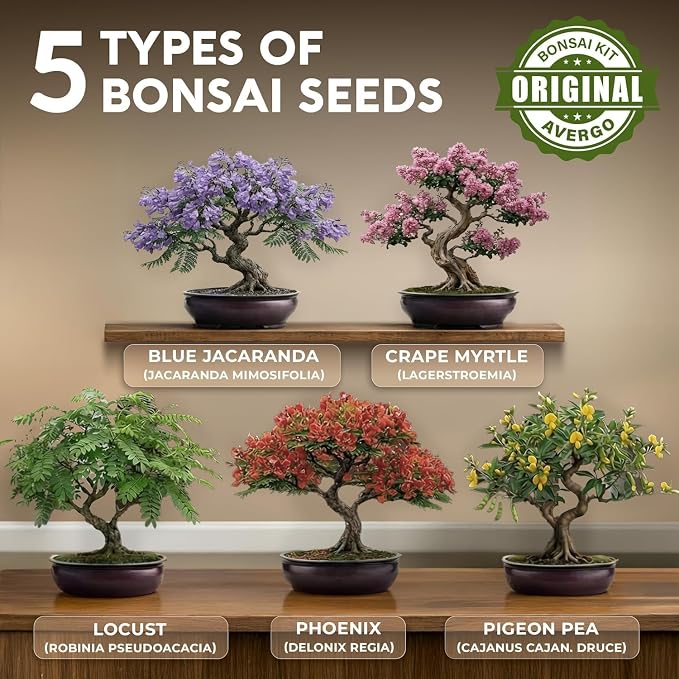 AVERGO Bonsai Tree Kit Deluxe - 5X Unique Japanese Bonzai Trees | Complete Indoor Bonsai Starter Kits for Growing Trees – DIY Gardening Gifts for Mother, Women & Men