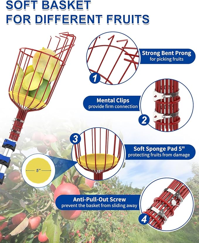 30FT Reach Fruit Picker, 5-24 Foot Sturdy Aluminum Telescoping Fruit Picker Extension Pole with Metal Twist-on Basket, Suit for Apple Pear Lemon Mango Guava Orange Avocados Tree Fruit Picking