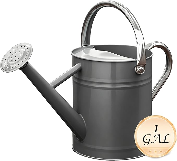 Metal Watering Can for Outdoor and Indoor Plants, Watering Can Decor, 1 Gallon (Gray)