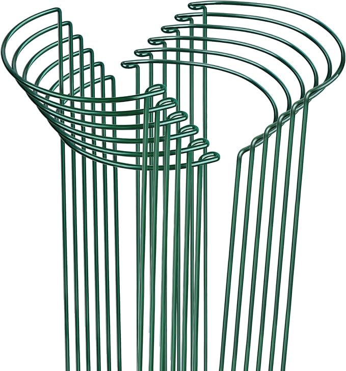LEOBRO 12PCS Plant Supports, 24 Inch Peony Cages and Supports, Garden Plant Stakes for Indoor Plants, Outdoor Plants, Peony Tomato Monstera Hydrangea Stakes, 10" W x 24" H