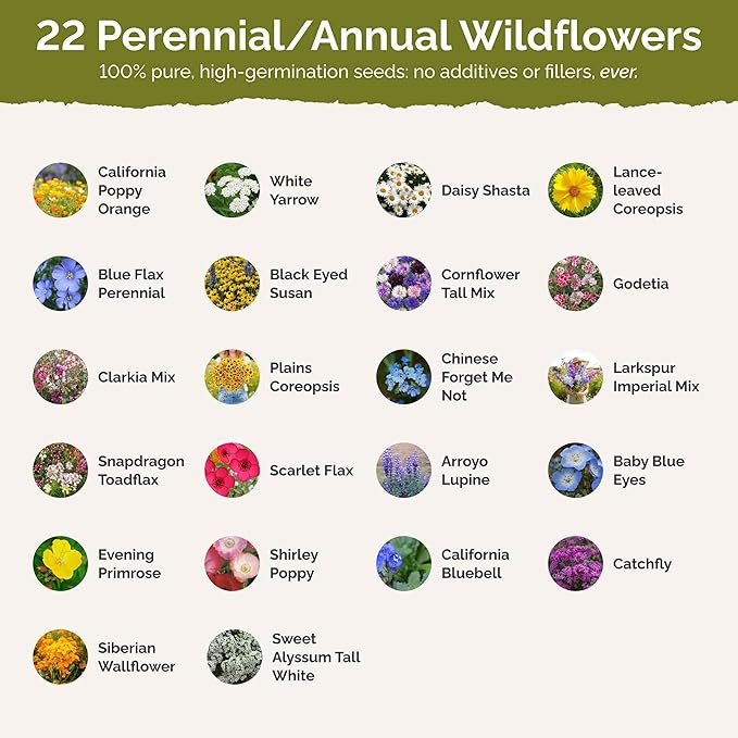 Eden Brothers California Wildflower Mixed Seeds for Planting, 10 lb, 4,800,000+ Seeds with Black Eyed Susan, Shasta Daisy | Attracts Pollinators, Plant in Spring or Fall, Zones 3, 4, 5, 6, 7, 8, 9, 10
