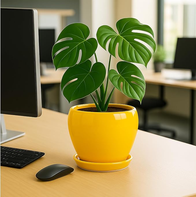 Deep Dream 8 Inch Plant Pots- Ceramic Pots for Plants with Drainage Hole and Saucer, Large Planter Pot for Indoor Plants Outdoor Decor, Yellow
