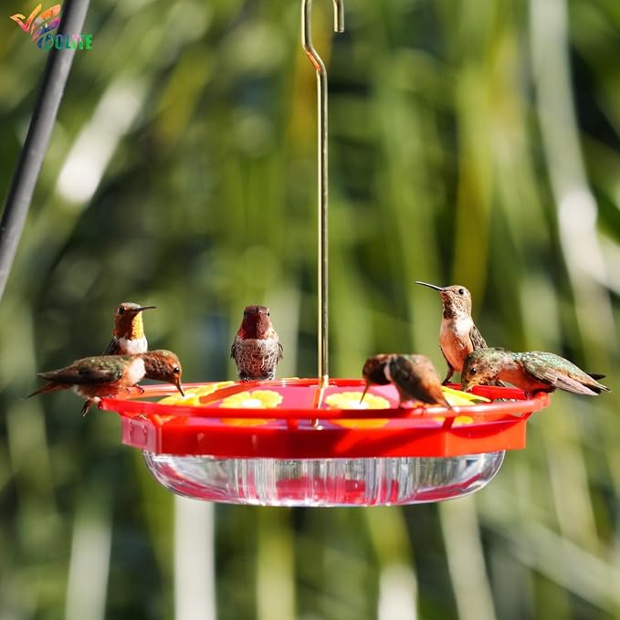 BOLITE Hummingbird Feeders for Outdoors Hanging, 11 OZ 8 Bee Proof Feeding Ports Flat Bird Feeder, Easy to Clean & Fill, Built-in Ant Moat, Leak Proof with Cleaning Brush, Red, Gift for Bird Lovers
