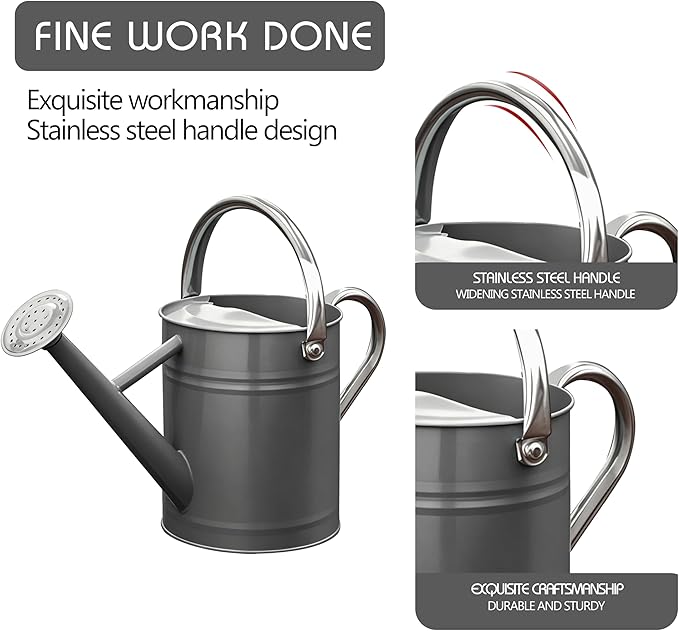 Metal Watering Can for Outdoor and Indoor Plants, Watering Can Decor, 1 Gallon (Gray)