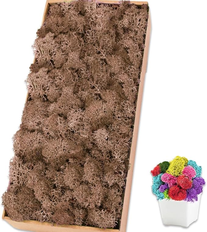 Preserved Reindeer Moss 17.6 OZ Brown Natural for Crafts, DIY Gift Christmas Decor, Wall Art, Potted Plants, Floral Fake Moss for Easter Table Decor Wedding Decorative(1.1 LB, Brown)