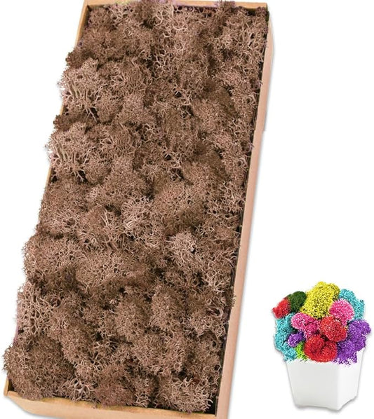 Preserved Reindeer Moss 17.6 OZ Brown Natural for Crafts, DIY Gift Christmas Decor, Wall Art, Potted Plants, Floral Fake Moss for Easter Table Decor Wedding Decorative(1.1 LB, Brown)