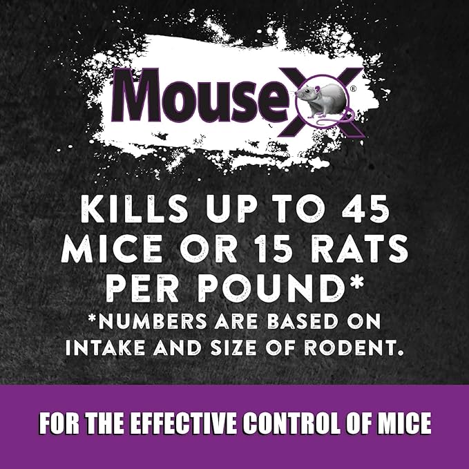 MouseX Throw Packs- for All Species of Rats Mice Safe Around Pets- Pack of 2