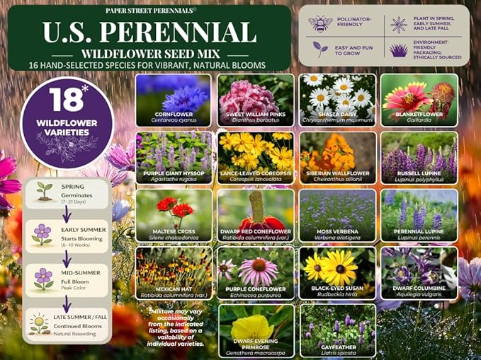 United States Nationwide Bulk Perennial Wildflower Seed Mix - All U.S. Zones - Plant in Spring and Fall (1 Pound Covers 2,000 Square feet) (1 Pound)