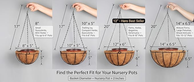 Kingbuy 8" Metal Hanging Basket for Small Succulents & Herbs – 5" Depth Rust-Resistant Wire with Coconut Liner & Chain for Kitchen Window, Balcony & Small Spaces - 2 Pack