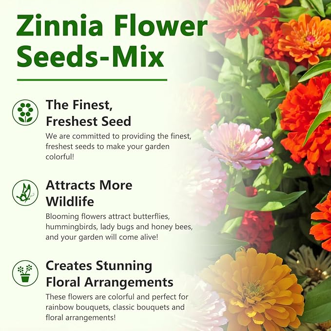 LUOJIBIE Zinnia Seeds for 2026, California Giant Zinnia Seeds Bulk, 10,000+ Double Dahlia Zinnia Mixed Color Seeds, Flower Seeds for Planting Outdoor Garden, Non-GMO Heirloom, Easy to Grow