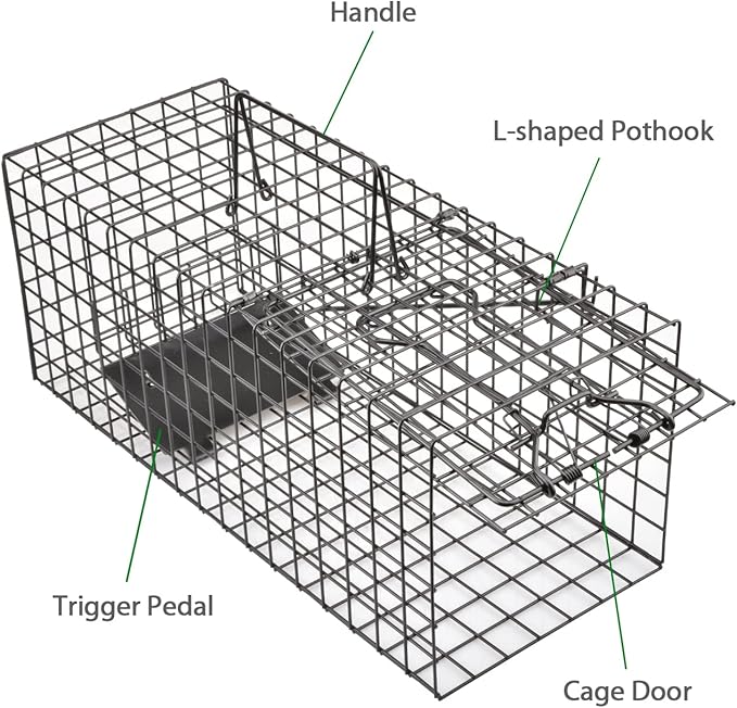 Live Squirrel Trap Heavy Duty Humane Animal Cage Trap (No Assembly Required)