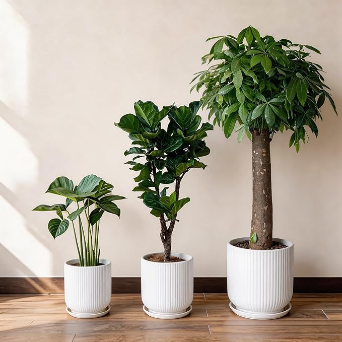 Deep Dream 12 Inch Ceramic Pots for Plants, Heavy Plant Pot for Indoor Outdoor Plants, Large Plant Pot with Drainage Hole and Saucer, Modern Tall Flower Pot, Gifts for Plant Lovers, White