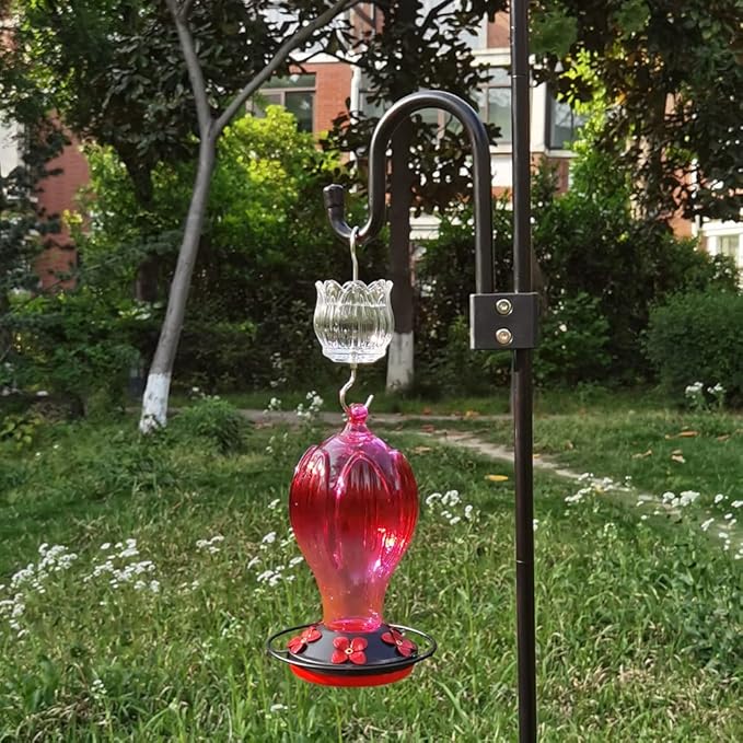 Glass Ant Moat for Hummingbird Feeder - 2PC x 3 OZ Clear Tulip Insect Guard with Large Capacity