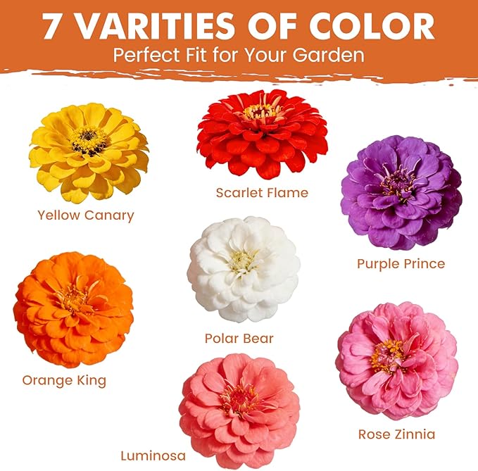 Zinnia Seeds for 2026 Planting, 5000+ Flowers Seeds, 7 Vibrant Colors Mix & Large Bloom, Non-GMO Heirloom Wildflower Seeds for Pollinator Garden Outdoor Borders, Easy to Grow Annual Flowers