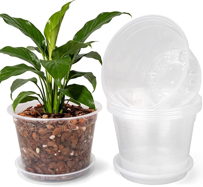 5 Pack 10 Inch Large Clear Nursery Pots with Drainage Hole and Saucers, Plastic Plant Pots for Seedlings, Flowers, Indoor Outdoor Gardening