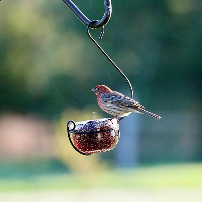 Clear Glass Hanging Bird Feeder - Removable Bowl for Mealworms, Jelly, Nectar, Seed & Fruit - Decorative Wire Hook - Versatile Outdoor Treat Feeder for Bluebirds, Orioles & More