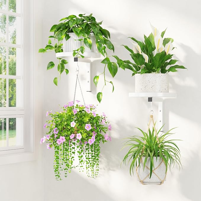 LASZOLA Plant Hangers Holder Wall Mounted Indoor, Metal Window Plant Shelves, 2Pcs Modern Floating Flower Display Stand with 2 Hooks for Outdoor Kitchen Bathroom Decor, White