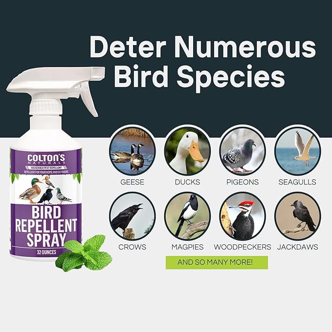 Bird Repellent Spray (32 OZ) Deter Birds from Outdoor Surfaces, Garden Areas Deterrent Natural Woodpecker, Pigeon and More Natural