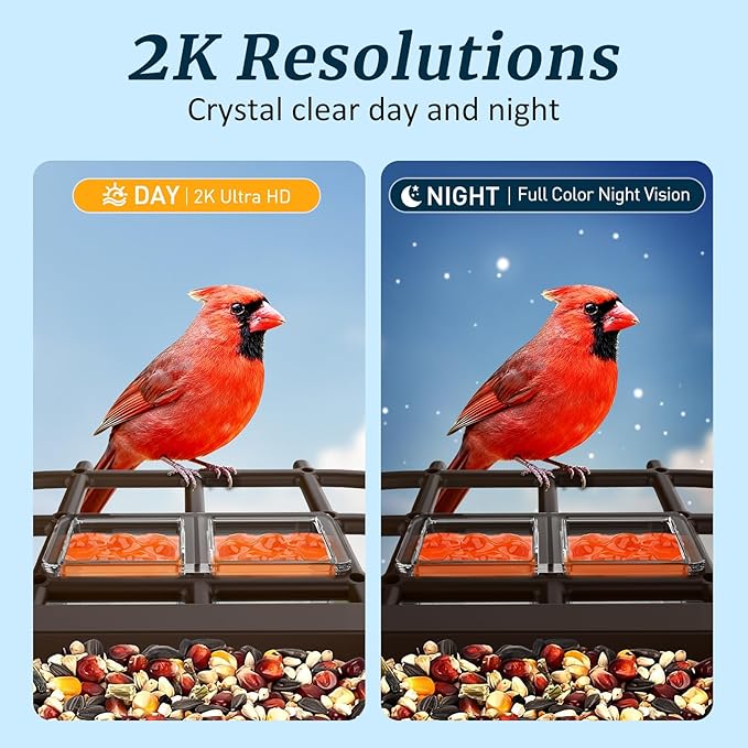 Bird Feeder with Camera, Solar Powered Smart Bird Feeder Camera Outdoor, 2K HD Live Video, Motion Detection Alerts, 2.4GHz WiFi, IP65 Waterproof, Bird Watching Gift for Backyard