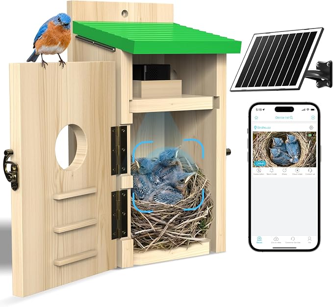 Bird House with Camera Solar Powered, Wi-Fi,Motion Detection & Night Vision,Pine Wood Birdhouse with Camera Inside,Ideal for Backyard & Nature Lovers(Light Green)