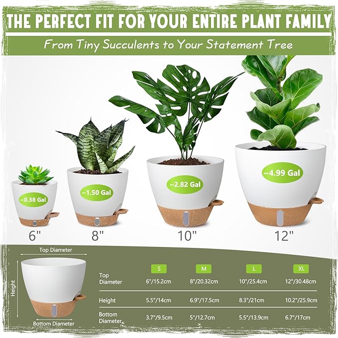 Self-Watering Pots for Indoor and Outdoor Plants 4 Pack, 6/8/10/12 Inch Planters with Water Level Indicator & Deep Reservoir, Decorative Flower Pots for Home Decor