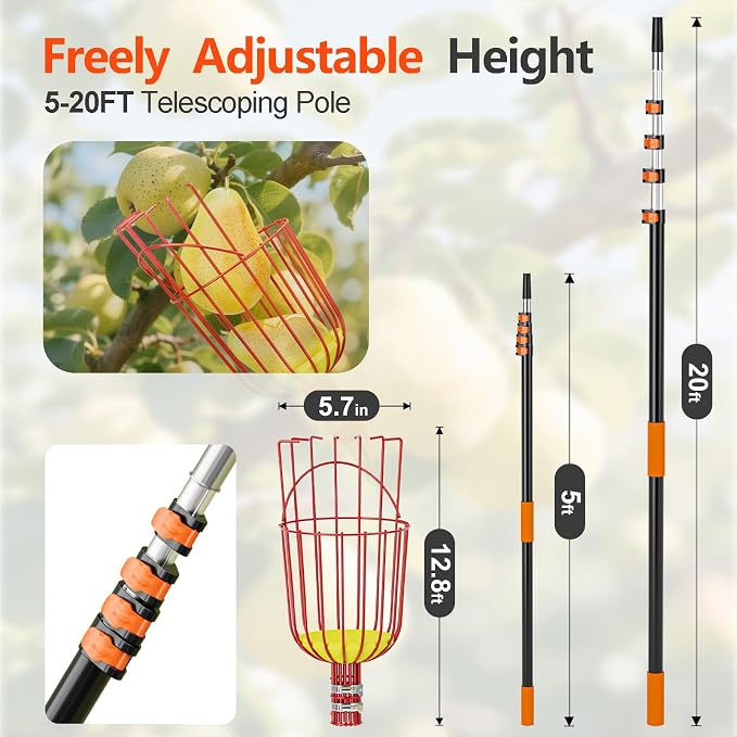 SPECILITE Fruit Picker, 5-20FT Adjustable Telescoping Pole with Basket, Aluminum Apple Picker Tool, Lightweight for Harvesting Orange, Mango, Avocado, Pear, Lemon, Garden Tree Fruit Catcher