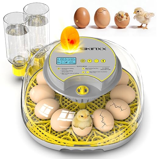 Incubator for Hatching Eggs-12 Egg Capacity, 2026 Newly Upgraded Automatic Egg Turner, Temperature & Humidity Control, 360° Viewing for Chicken, Duck and Quail Eggs (Grey)