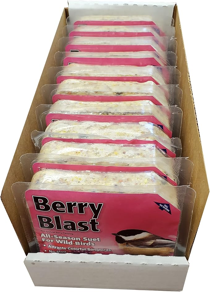 Heath Outdoor Products DD15-10, Berry Blast - 10 Pack
