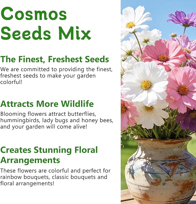 LUOJIBIE Cosmos Seeds, 4,500+ Cosmos Flower Seeds for 2026, Wildflower Seeds for Planting Outdoor Garden, Crazy Blend Mix Color, No Filler, 1.5 Oz Packet, Easy to Grow
