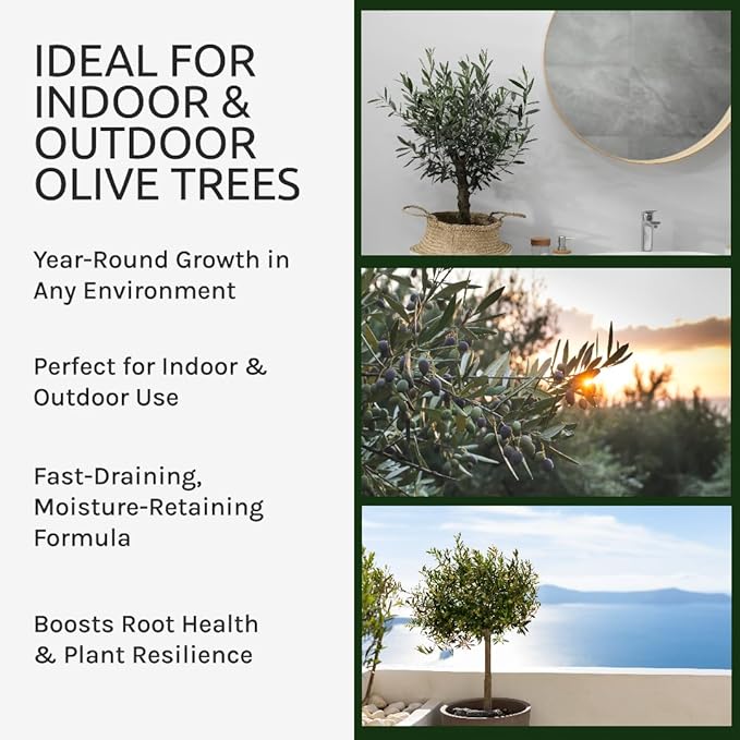 GARDENWISE Organic Olive Tree Potting Mix – Fast-Draining, Nutrient-Rich Soil for Indoor & Outdoor Olive Trees – Mediterranean Plant Care – Long-Lasting Formula (10 QUARTS)