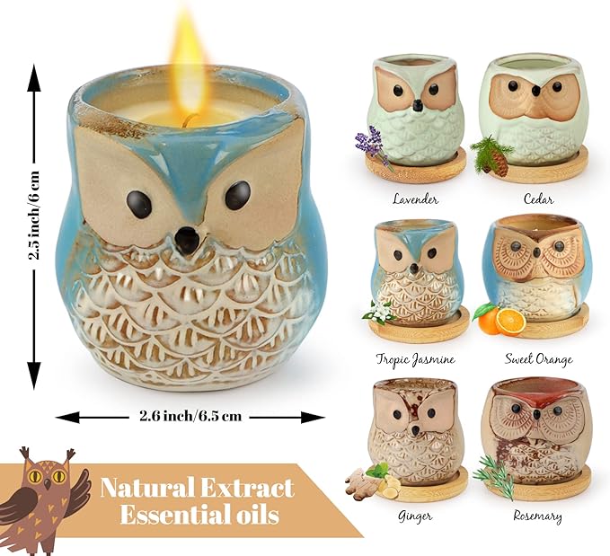 Kinforse Scented Candles Birthday Gifts for Women, Owl Gifts for Women, 6 Pack Novelty Owl Aromatherapy Candle Bulk Gift for Birthday Mother's Thanksgiving