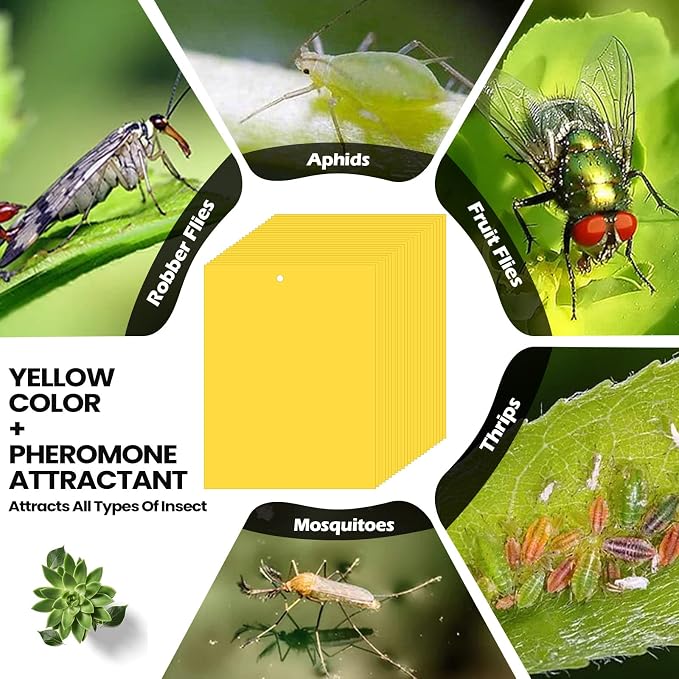 Qualirey 250 Pcs 6x8 Inch Yellow Sticky Traps for Gnats, Dual-Sided Sticky Gnat Traps for Indoor Outdoor Plants, Pest Control for Fungus Gnats, Fruit Flies, Whiteflies – Bulk Pack with Twist Ties