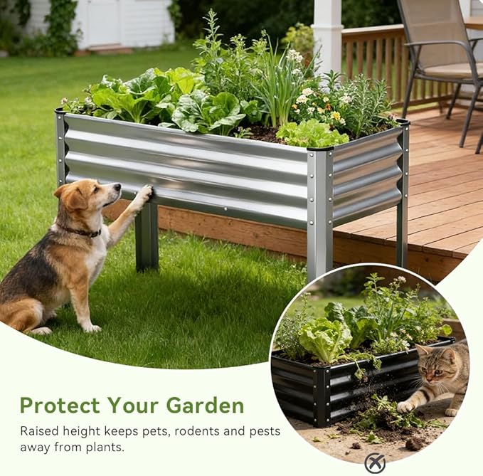 COMHOMA 2 Pack Raised Garden Bed with Legs 4x2x2.5ft,Large Elevated Galvanized Metal Planter Box with Drainage Holes,Outdoor Growing Kit with Gloves Tools for Backyard Patio Lawn,Sliver