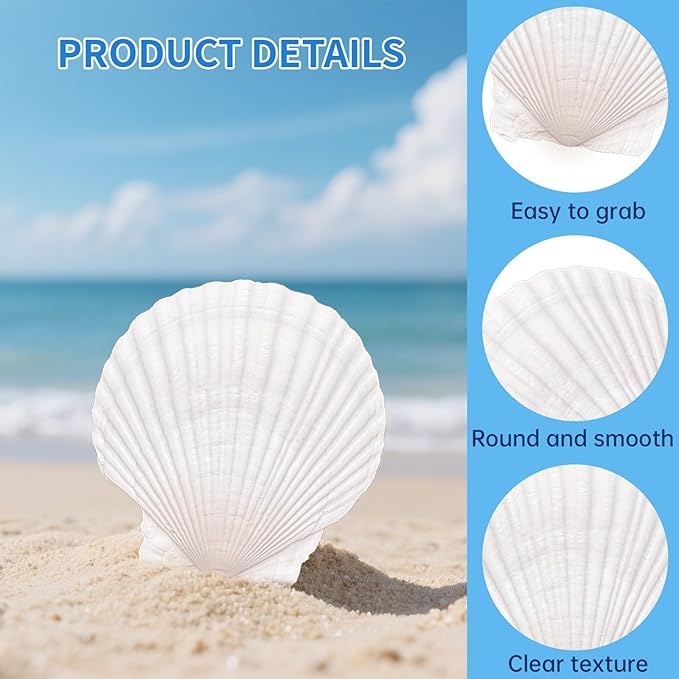 20PCS Large Scallop Shells for Crafts, 4-5 Inch Natural Sea Shells for Decorating, White Seashells Bulk for DIY Crafting, Painting, Baking, Ocean Themed Party Supplies & Decorations