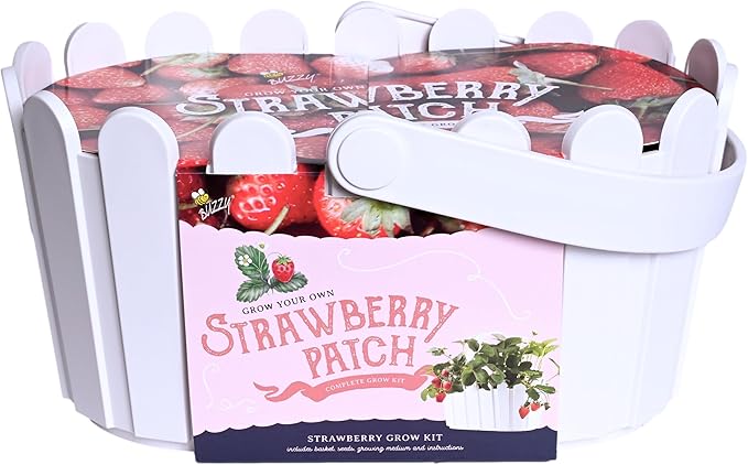 BUZZY Seeds Strawberry Grow Kit Large White Picket Fence Berry Basket with Grandian Strawberry Seeds, Indoor Plant Starter Kit, DIY Home Project Gardening Gift