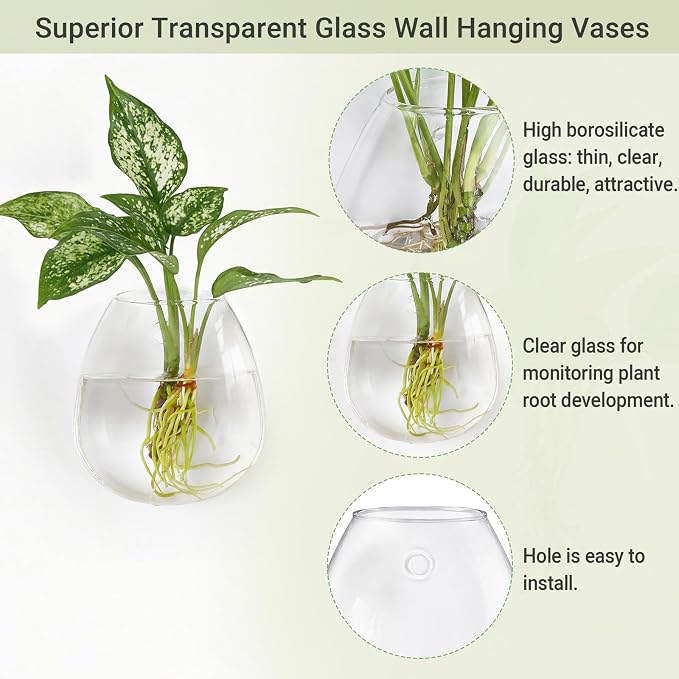 Dahey 3 Pcs Metal Hanging Flower Pots and 4 Pcs Glass Wall Mounted Vases for Indoor Plants Home Office Garden Yard Wall Decor